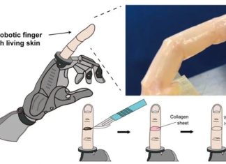 invantion human skin robot finger