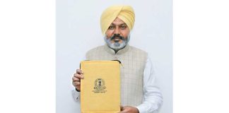 Punjab budget