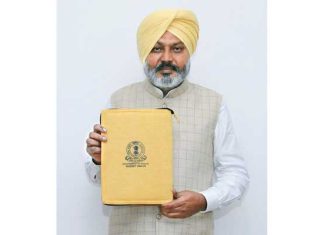 Punjab budget