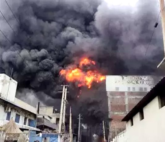 बहादुरगढ़ में जूता फैक्ट्री में लगी आग, मची भगदड़