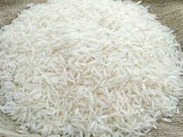 Cultivation of Basmati Rice