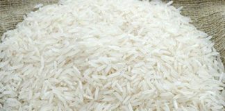 Cultivation of Basmati Rice