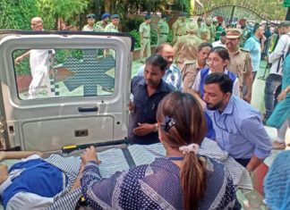 स्कूल में गिरा विशालकाय पेड़, बच्चे घायल