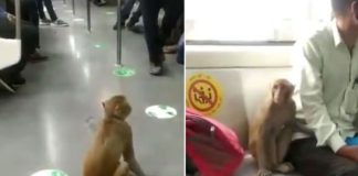 Delhi Metro Stations