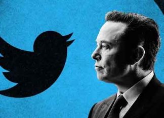 Twitter, Elon Musk