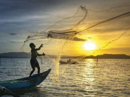Sri Lankan Navy: तमिलनाडु के आठ मछुआरों को श्रीलंकाई नौसेना ने किया गिरफ्तार Fishermen Missing