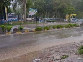 Sirsa Weather