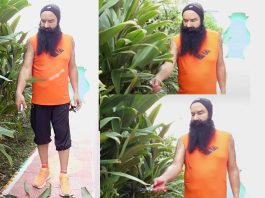 Saint Dr. MSG Insan