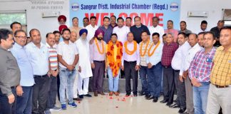 Sangrur District Industry