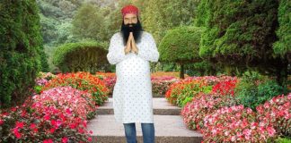 saint Dr. MSG