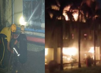 Fire in Britannia Company