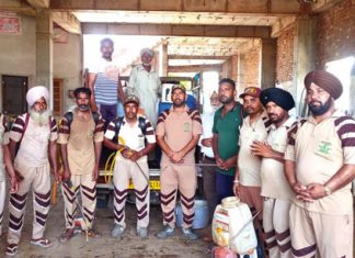 ‘लम्पी स्किन’ का कहर, बचाव के लिए आगे आए डेरा सच्चा सौदा के सेवादार