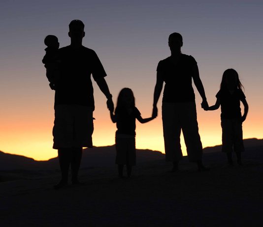 टूटते परिवारों के दौर में समाज को आईना दिखा रही ‘जीवीबेन’