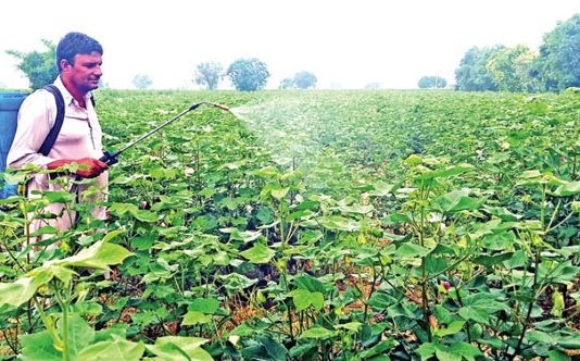 agriculture