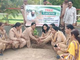 हनुमानगढ़, सादुलशहर और सहजीपुरा में पौधारोपण की शुरुआत