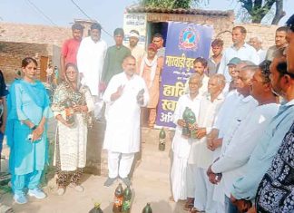 सादुलशहर को डेंगू मुक्त बनाने की मुहिम शुरु