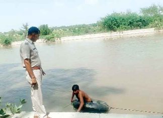पति नहर पर नहा रहा था, हाथ-मुंह धोते पत्नी नहर में फिसल गई और फिर…