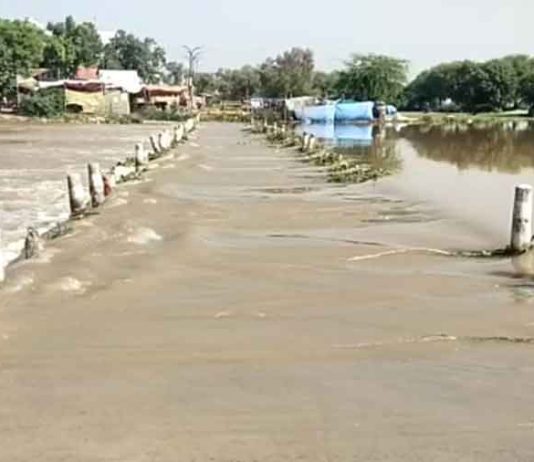 Rajasthan Ghaggar News