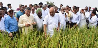 Natural Farming