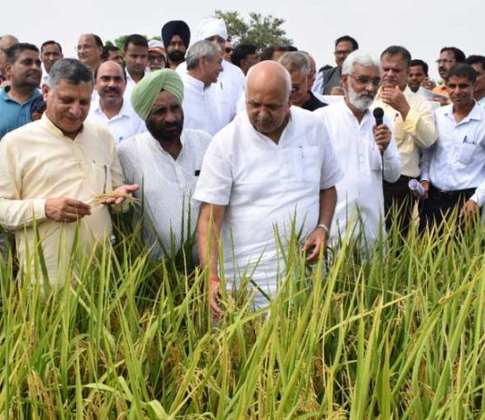 Natural Farming