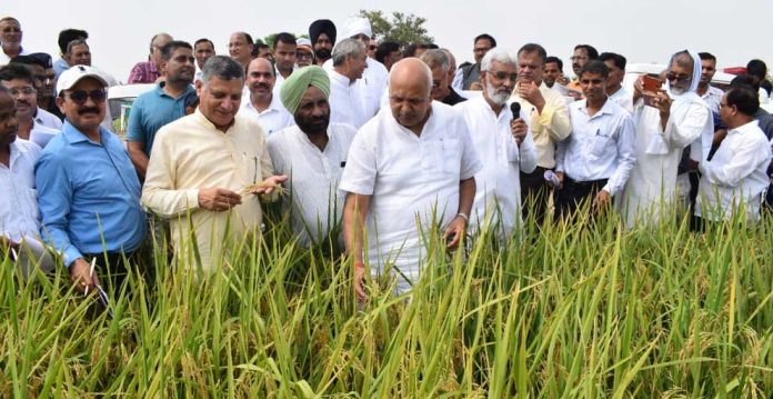 Natural Farming