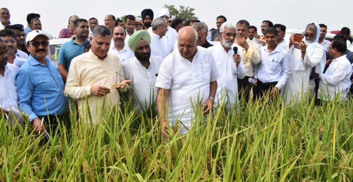 Natural Farming