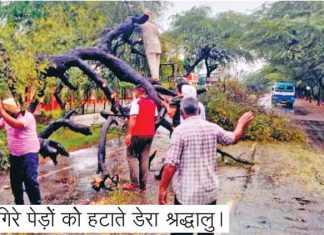 डेरा श्रद्धालुओं ने बरसात से सड़क पर गिरे पेड़ों को हटाया, यातायात करवाया शुरू
