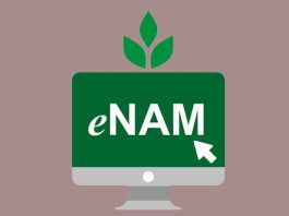 हरियाणा में ई-नाम प्रणाली के विरोध में 19 सितंबर से मंडिया रहेगी बंद eNAM