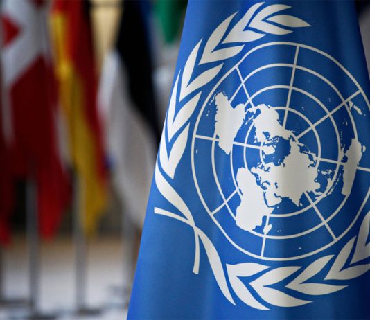 Palestine, united nations