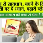 Dengue Virus: