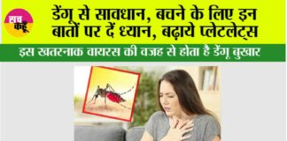 Dengue Virus: