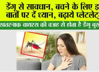 Dengue Virus: