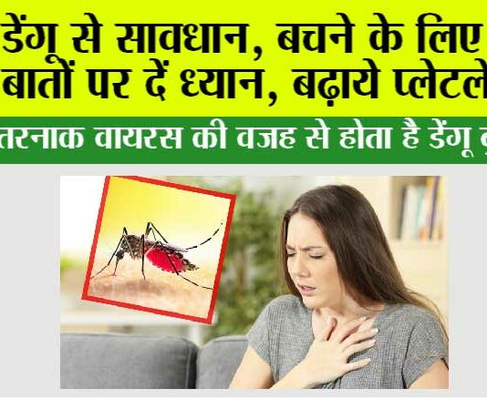 Dengue Virus: डेंगू से सावधान, बचने के लिए इन बातों पर दें ध्यान, बढ़ाये प्लेटलेट्स Dengue Virus: