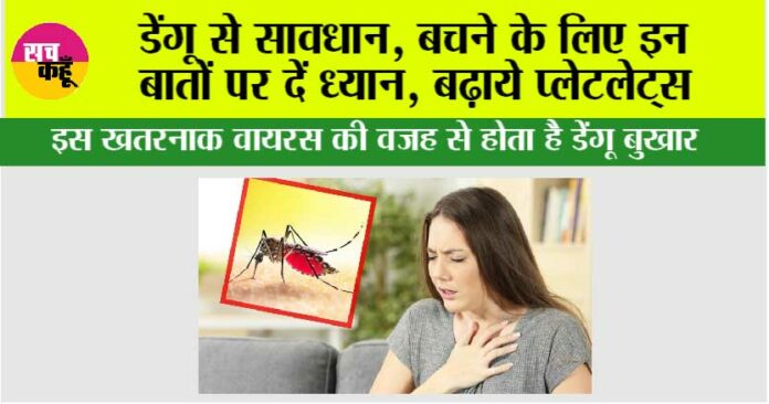 Dengue Virus: