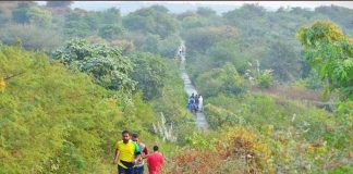 Gurugram Jungle Safari