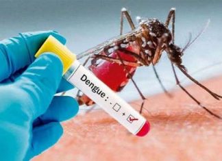 Dengue