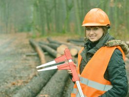 Career in Forestry