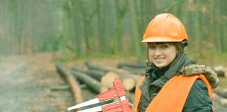 Career in Forestry