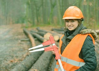 Career in Forestry