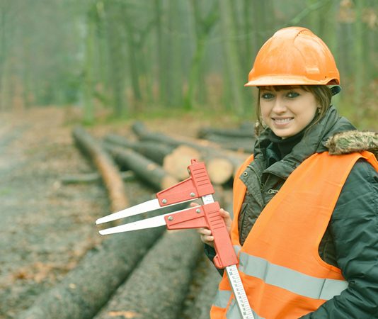 Career in Forestry