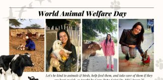 World Animal welfare Day