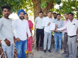 organic farming of fruits and vegetables