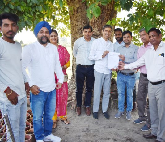 एमबीए प्रशांत ने फलों व सब्जियों की जैविक खेती कर दिखाई किसानों को राह organic farming of fruits and vegetables