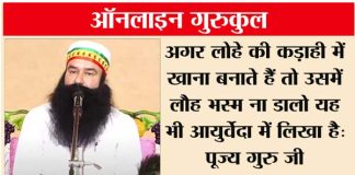 Spiritual Discourse Saint Dr. MSG