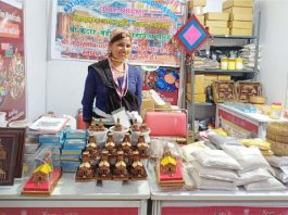 Saras Mela