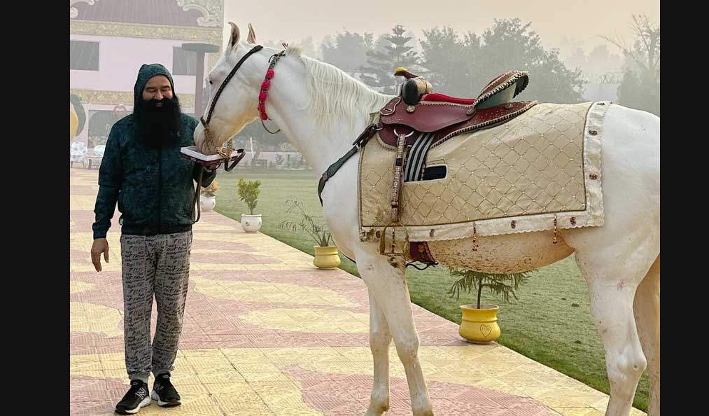 Saint Dr. MSG Insan Instagram