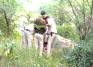 दिल्ली पुलिस ने ‘हत्यारे’ आफताब के साथ महरौली के जंगल में कटे शव को खोजा