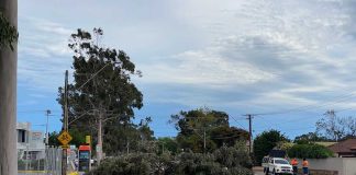 Australia Storm