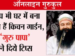 Kitchen Garden: Saint Dr. MSG Tips
