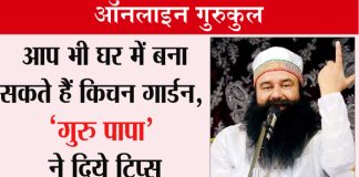 Kitchen Garden: Saint Dr. MSG Tips